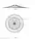 Fig. 16 - Degradable occluder