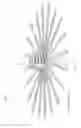 Fig. 49 - Device, system, and method for transcatheter treatment of valvular regurgitation