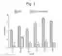Fig. 02 - Fumarate polymersomes