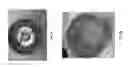 Fig. 09 - Abuse deterrent formulations of amphetamine