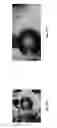 Fig. 35 - Abuse deterrent formulations of amphetamine