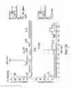 Fig. 08 - Compositions of obeticholic acid and methods of use