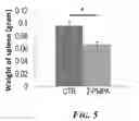 Fig. 06 - Methods for treating inflammatory bowel disease using prostate specific membrane antigen (PSMA) inhibitors