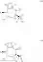 Fig. 08 - Therapeutic uses of pharmaceutical compositions comprising cyclic boronic acid ester derivatives