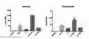 Fig. 01 - RNA construct and methods of use thereof for enhancing the therapeutic effects of cytotoxic cells and stem cells