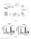 Fig. 02 - RNA construct and methods of use thereof for enhancing the therapeutic effects of cytotoxic cells and stem cells