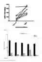 Fig. 06 - RNA construct and methods of use thereof for enhancing the therapeutic effects of cytotoxic cells and stem cells