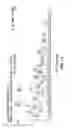 Fig. 02 - Immunotherapy against neuronal and brain tumors