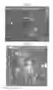 Fig. 05 - Therapy using cardiac stem cells and mesenchymal stem cells