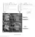 Fig. 22 - Therapy using cardiac stem cells and mesenchymal stem cells