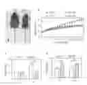 Fig. 01 - Anti-obesity microbiota compositions and preparation methods and uses thereof