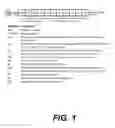 Fig. 02 - Immunogenic rhinovirus peptides