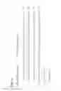 Fig. 06 - FORMULATION FOR ANTI-ALPHA4BETA7 ANTIBODY