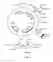 Fig. 07 - FORMULATION FOR ANTI-ALPHA4BETA7 ANTIBODY