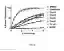Fig. 09 - Enhanced active agents