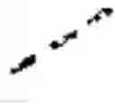 Fig. 02 - Antibody adjuvant conjugates