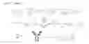Fig. 06 - Antibody adjuvant conjugates