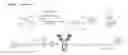 Fig. 08 - Antibody adjuvant conjugates