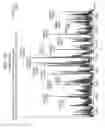 Fig. 197 - Antibody adjuvant conjugates
