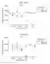 Fig. 303 - Antibody adjuvant conjugates