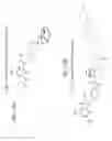 Fig. 33 - Antibody adjuvant conjugates