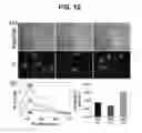 Fig. 11 - Reactive fluorogenic compound and nanocomposite for sensing hydrogen sulfide comprising the same