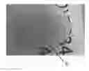 Fig. 01 - METHOD FOR PREPARING CORNEAL TISSUE