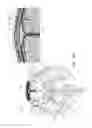 Fig. 09 - Electrical substance clearance from the brain