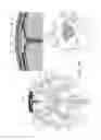 Fig. 10 - Electrical substance clearance from the brain
