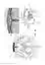 Fig. 13 - Electrical substance clearance from the brain