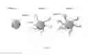 Fig. 02 - Methods and materials for microorganism capture