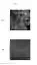 Fig. 02 - Method for preparing dispersion of metal-containing particles and method for producing hydrogenated conjugated diene polymer