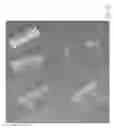 Fig. 43 - Microfluidic tissue development systems