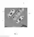 Fig. 04 - Mechanical applicator for use in stamping die process to apply thermo-chromatic ink to aluminum heat treated panels