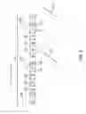 Fig. 04 - Cylindrical tube formation