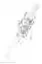 Fig. 23 - Outboard hydrostatic bearing assembly for can bodymaker