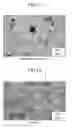 Fig. 09 - TiAI-BASED INTERMETALLIC SINTERED COMPACT AND METHOD FOR PRODUCING TiAI-BASED INTERMETALLIC SINTERED COMPACT