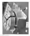 Fig. 35 - Hybrid holding device