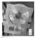 Fig. 41 - Hybrid holding device