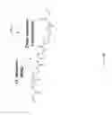 Fig. 05 - Extrusion printing of liquid crystal elastomers