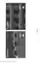 Fig. 08 - Extrusion printing of liquid crystal elastomers