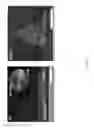 Fig. 13 - Extrusion printing of liquid crystal elastomers