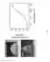 Fig. 22 - Extrusion printing of liquid crystal elastomers