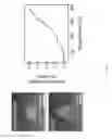 Fig. 23 - Extrusion printing of liquid crystal elastomers