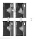 Fig. 26 - Extrusion printing of liquid crystal elastomers
