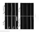 Fig. 34 - Extrusion printing of liquid crystal elastomers