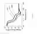 Fig. 40 - Extrusion printing of liquid crystal elastomers