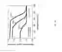 Fig. 44 - Extrusion printing of liquid crystal elastomers