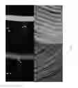 Fig. 62 - Extrusion printing of liquid crystal elastomers