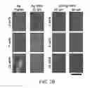 Fig. 09 - THREE-DIMENSIONAL (3D) PRINTING AND INJECTION MOLDING CONDUCTIVE FILAMENTS AND METHODS OF PRODUCING AND USING THE SAME